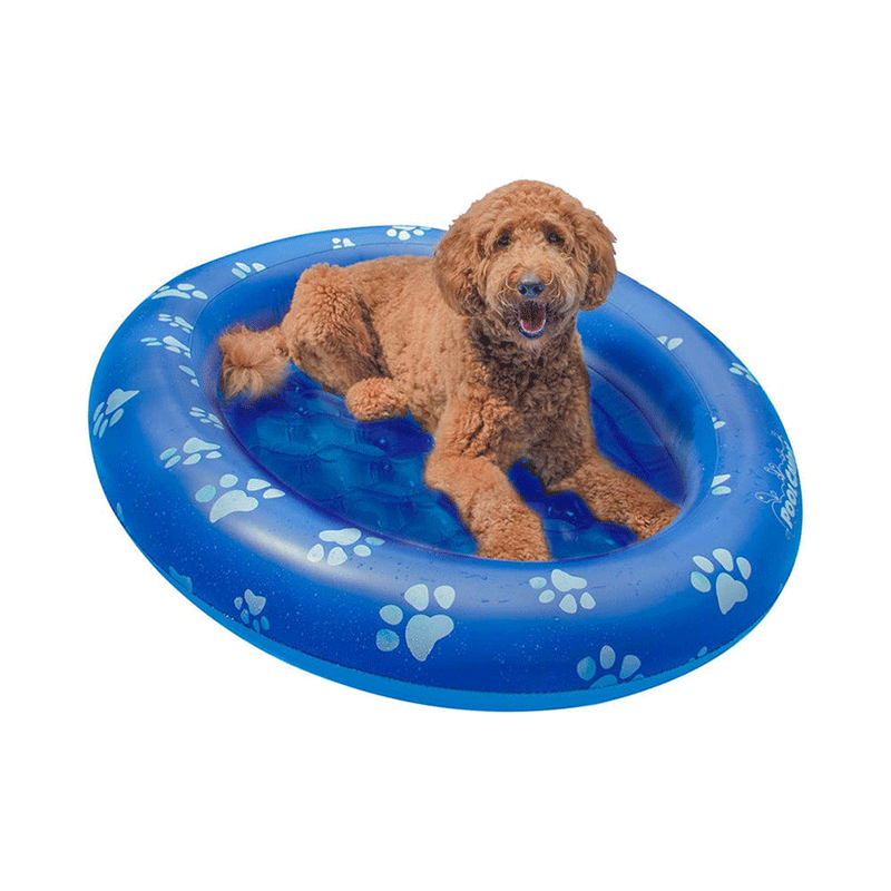 Flotteur de piscine pour animaux de compagnie (animaux jusqu'à 35 livres)