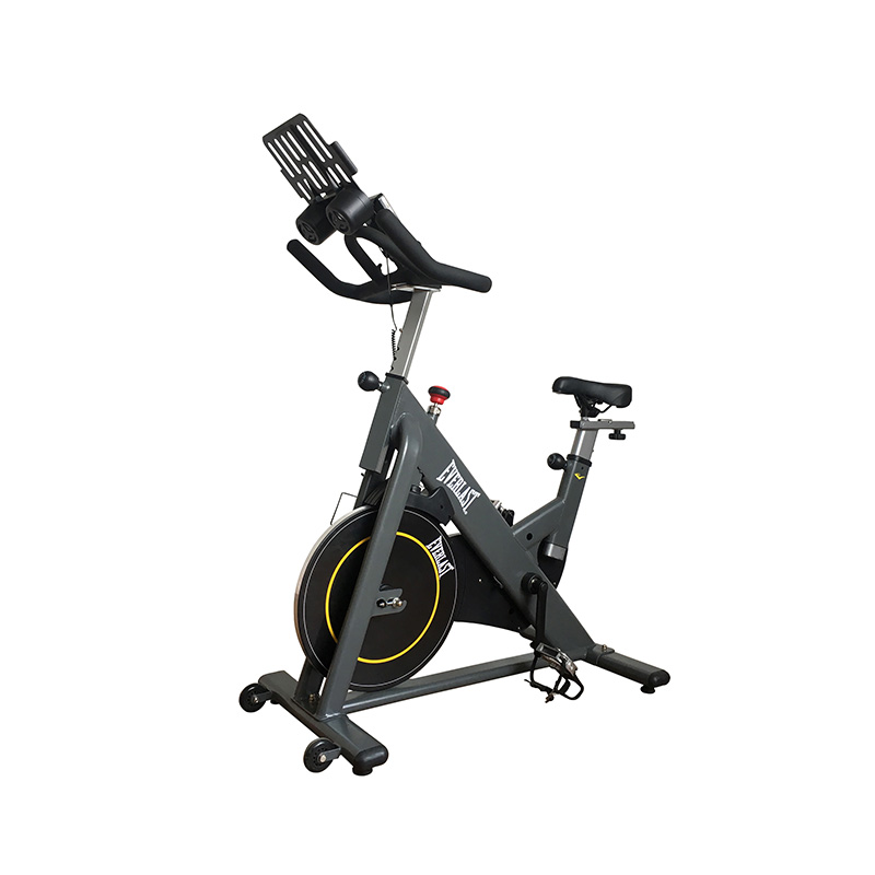 Everlast recumbent bike hot sale