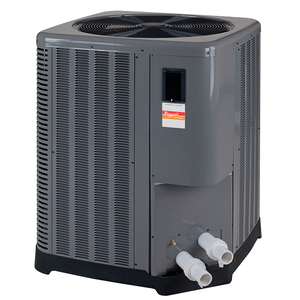 Thermopompe Raypak 119 000 BTU en titane
